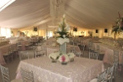 Thumbnail of wedding tent rental nebraska