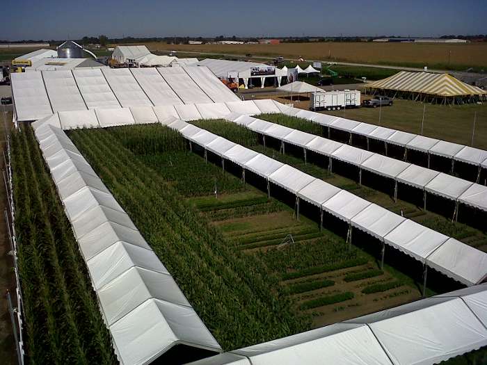 A maze of walkways at Farm Progress that allows visitors to view the fields
